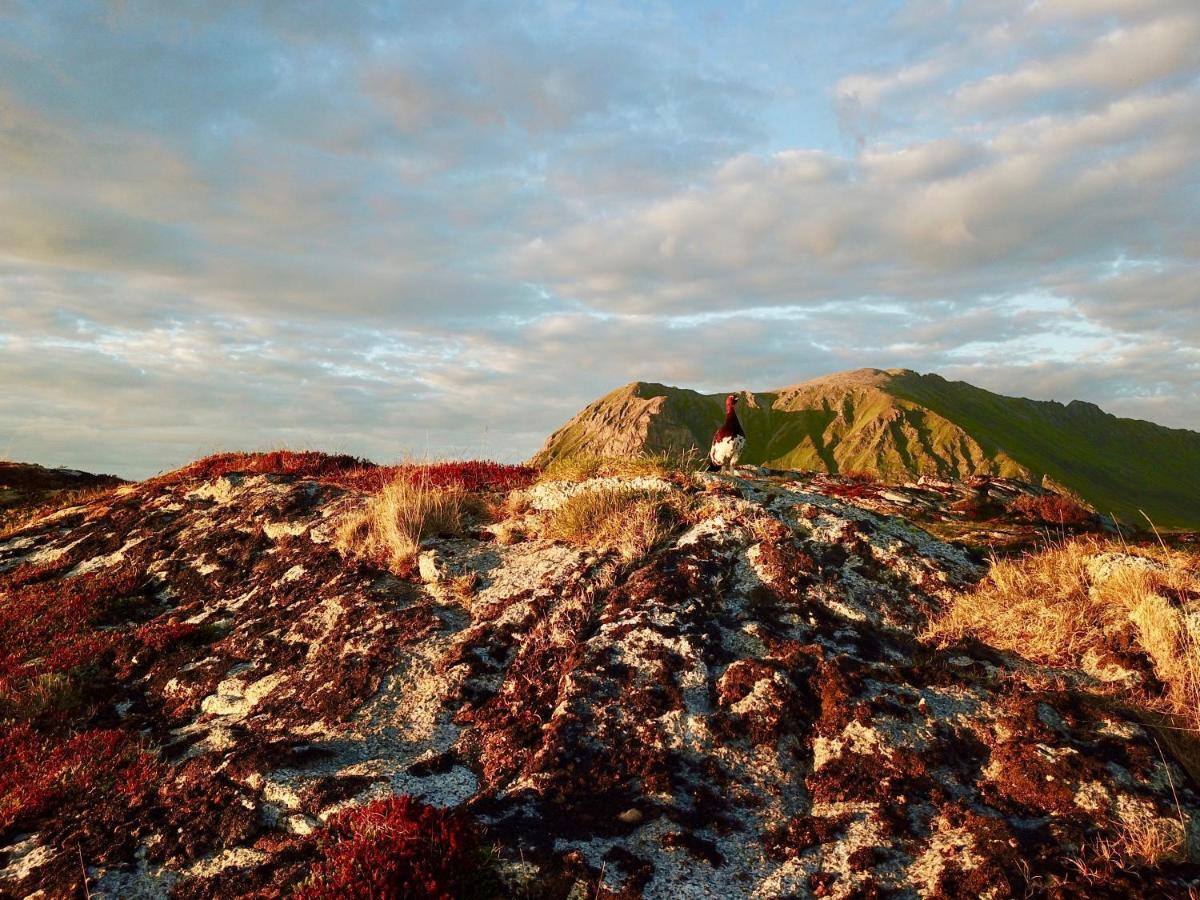 Lofoten Troll View Bostad ภายนอก รูปภาพ
